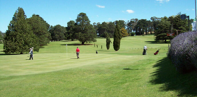 GC SIERRA DE LOS PADRES 011 N