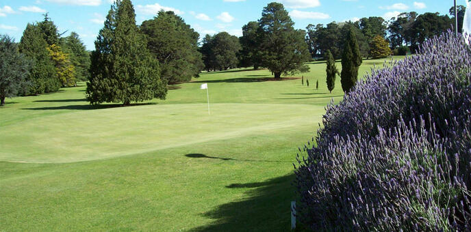 GC SIERRA DE LOS PADRES 012 N