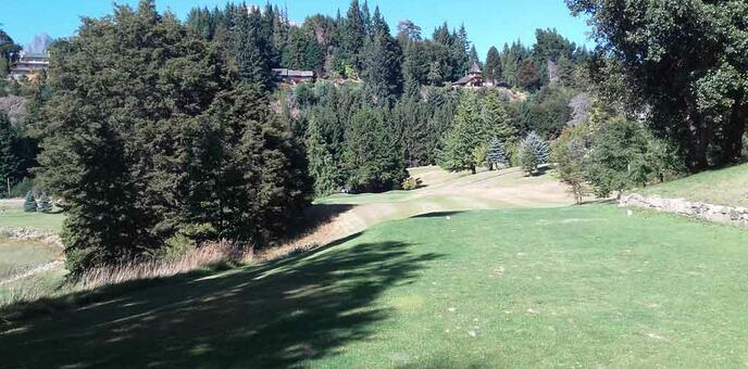 Hoyo 11 - Tee vista a Green