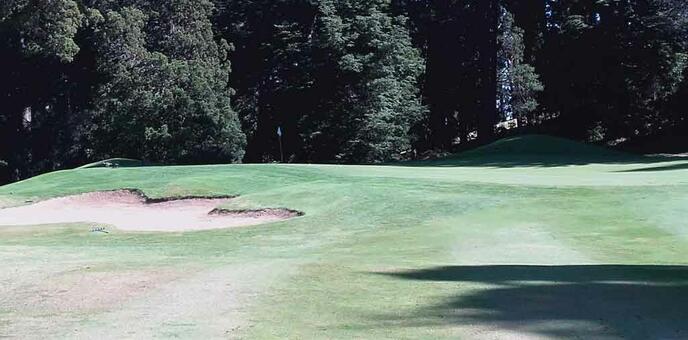 Hoyo 13 - Green zoom