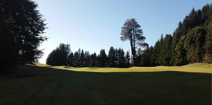 Hoyo 2 - Tiro a Green