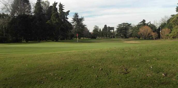 12 Green del 6, de atrás