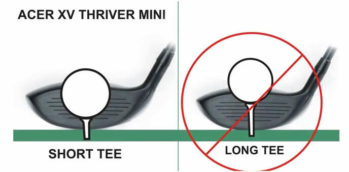 Madera Mini Thriver 3