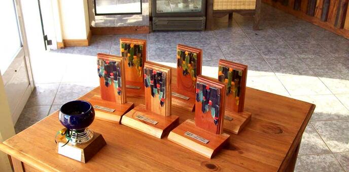 Torneo y Demo Day Navarro 9